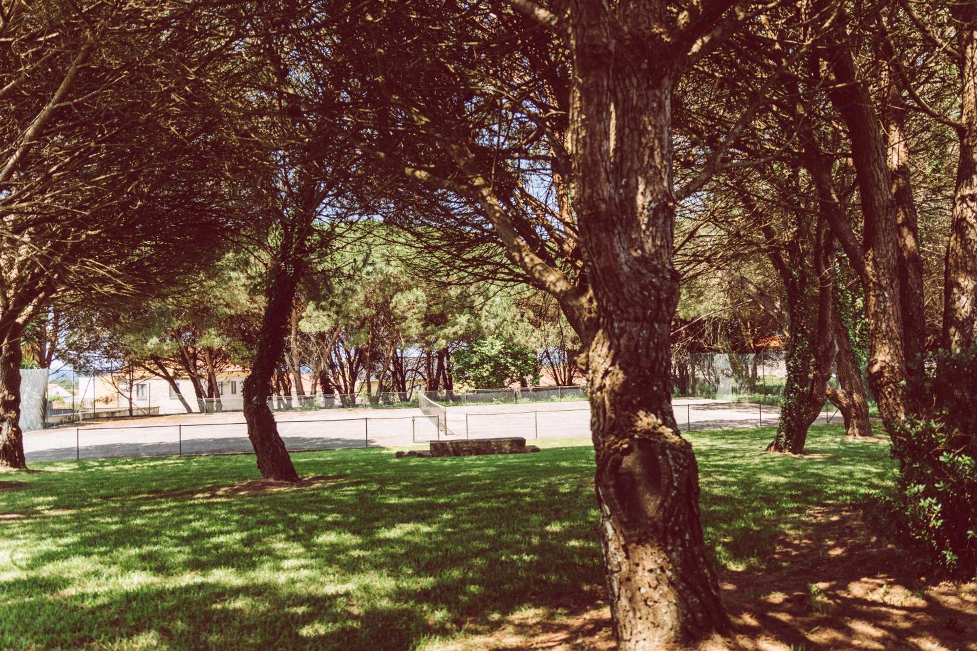 Quinta Do Monteverde Виана до Кастело Екстериор снимка